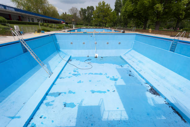 Best Water damage contractors near me  in Trail Creek, IN