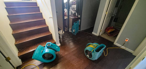 Best 24-hour water damage restoration  in Trail Creek, IN