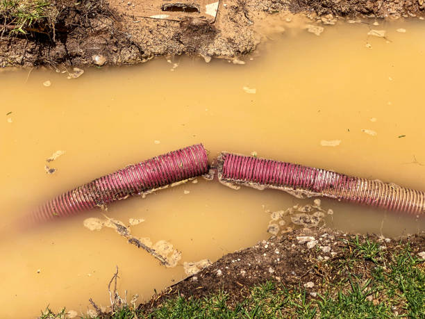 Best Local water damage restoration  in Trail Creek, IN