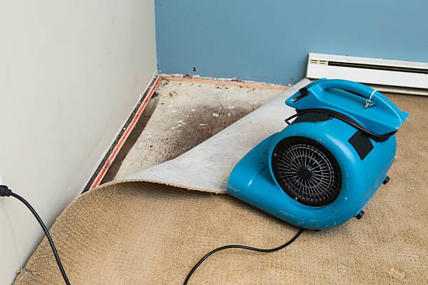 Best Water damage restoration services  in Trail Creek, IN